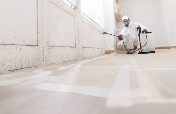 24/7 Emergency Black Mold Removal experts in Jackson, NC